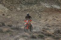 IMG_8566-41d