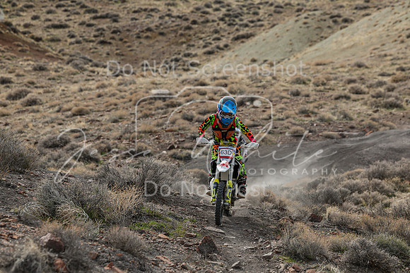 IMG_8596-63d