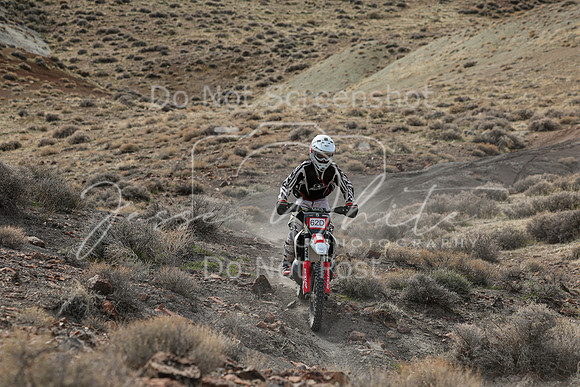 IMG_8601-62d