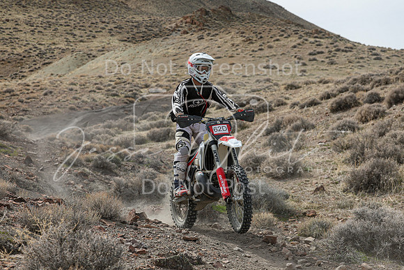 IMG_8603-62d