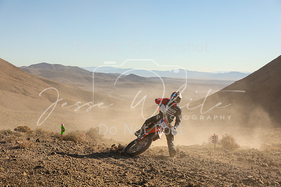 IMG_0014-11a