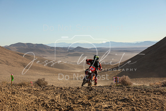 IMG_0028-12a
