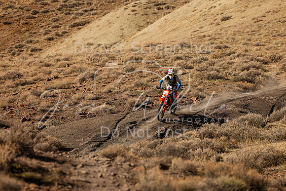 IMG_9118-73a