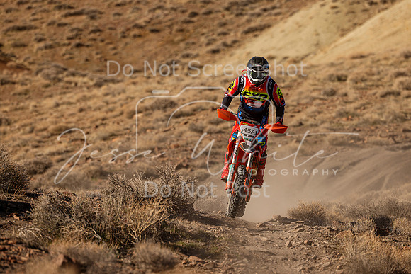 IMG_9137-45a