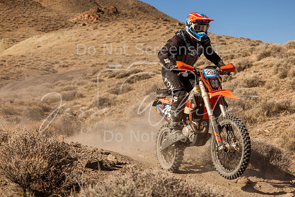 IMG_9187-29a