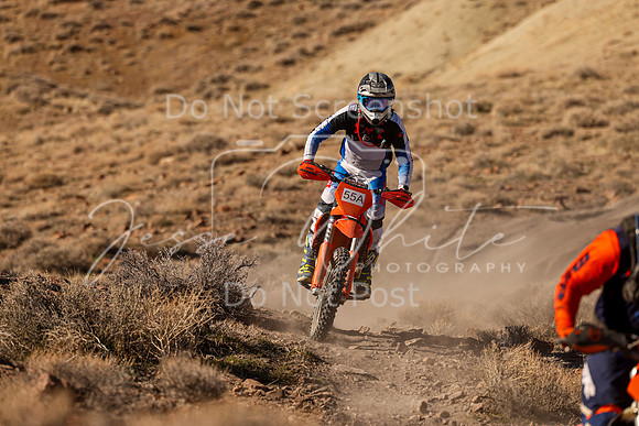 IMG_9205-55a