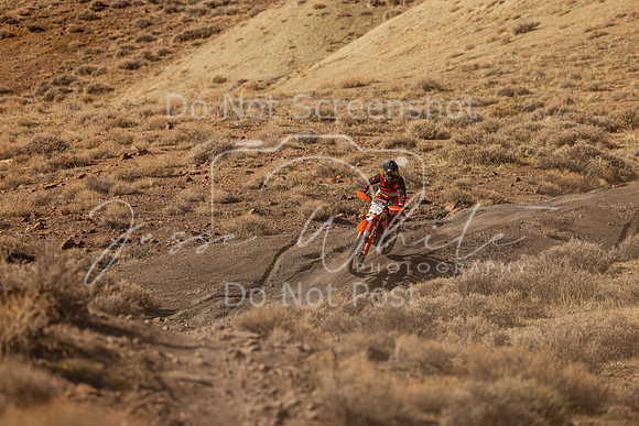IMG_9225-52a