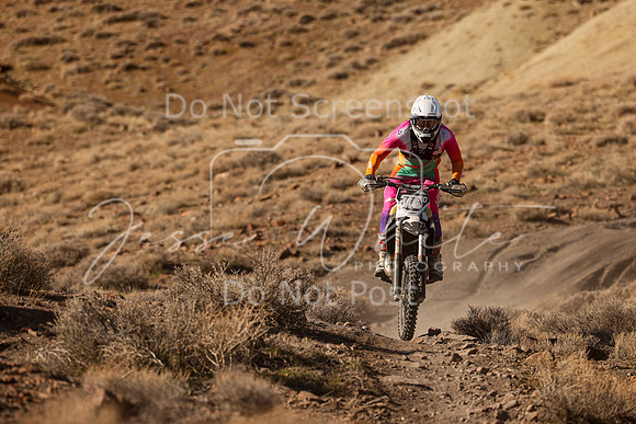 IMG_9237-77a