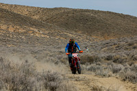 IMG_7335-