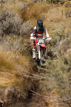 IMG_8431-177n
