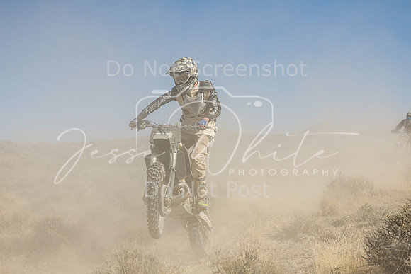 IMG_7582-432x