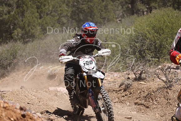 IMG_4931-t20
