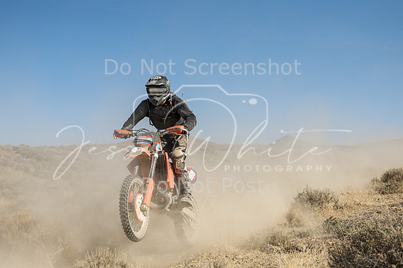 IMG_7425-28n