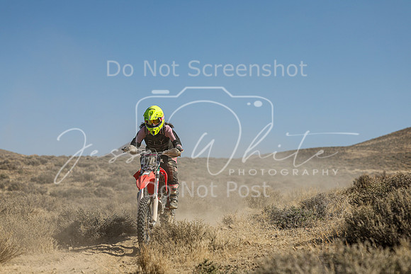 IMG_7788-474w