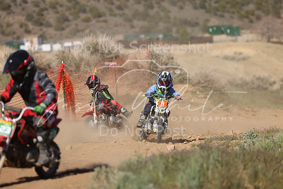IMG_6328-4-11