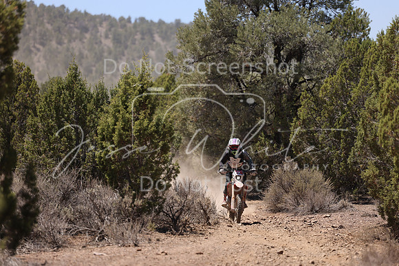 IMG_7963-13w