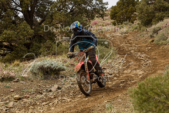 IMG_2209-