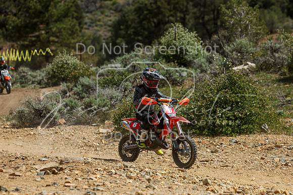 IMG_4978-6