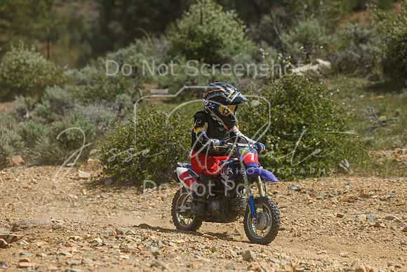 IMG_4992-7