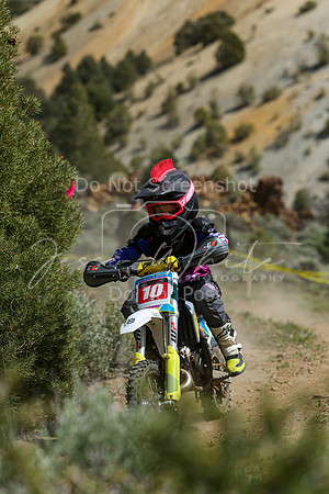 IMG_5100-10