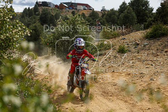 IMG_5591-116