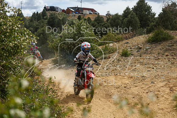IMG_5691-101