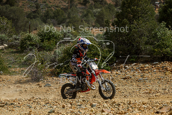 IMG_5739-102