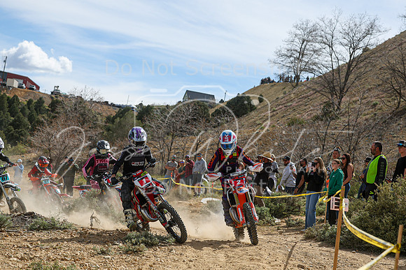 IMG_6503-1-2