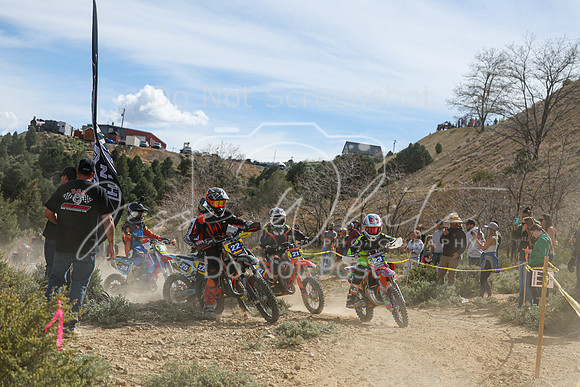 IMG_6522-22-21-23