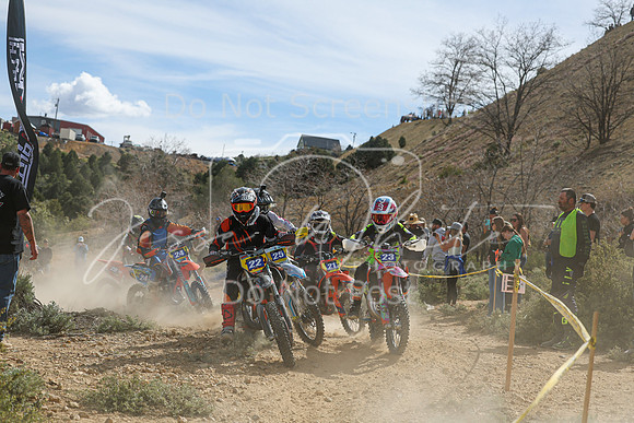 IMG_6524-22-23
