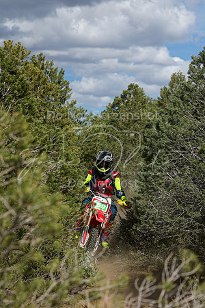 IMG_6713-59