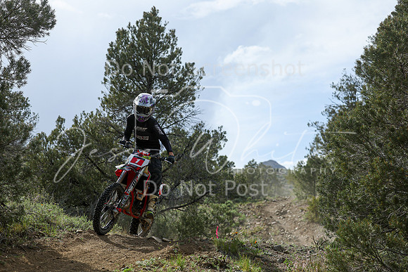 IMG_6816-1