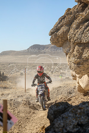 IMG_5604-110y