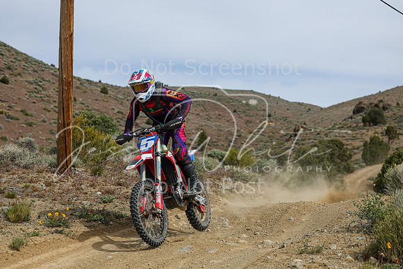 IMG_8513-5