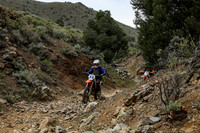 IMG_0298-12