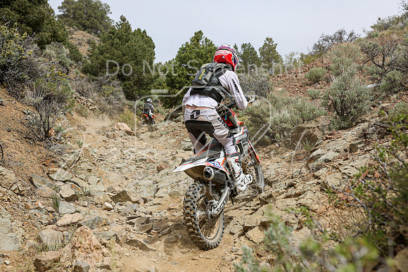 IMG_0600-29