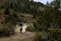IMG_2767-36