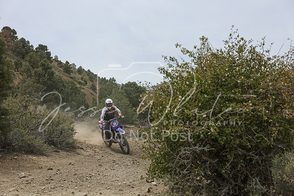 IMG_2798-38