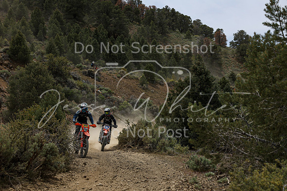 IMG_3132-11-129