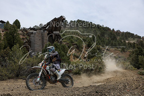 IMG_3165-306