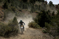 IMG_4329-488