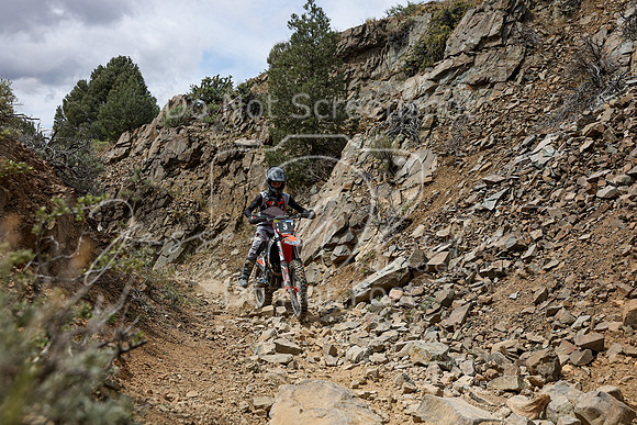 IMG_7207-3