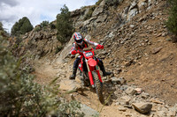 IMG_7233-459