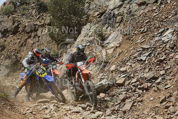 IMG_7291-120-437