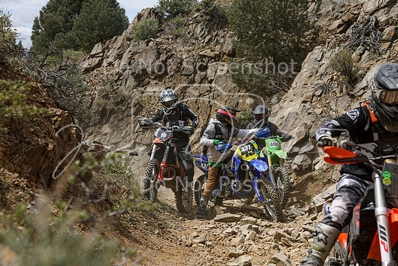 IMG_7302-19-437