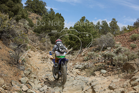 IMG_7327-437