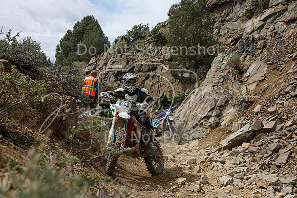 IMG_7341-84