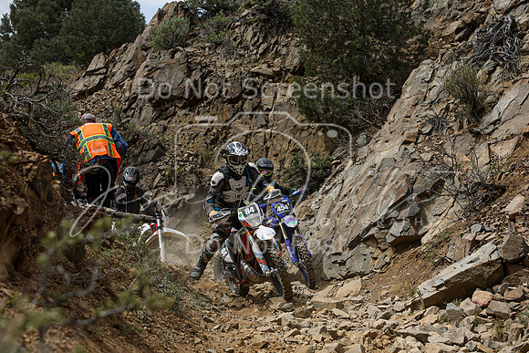 IMG_7338-84