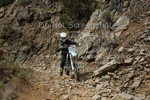 IMG_7395-262