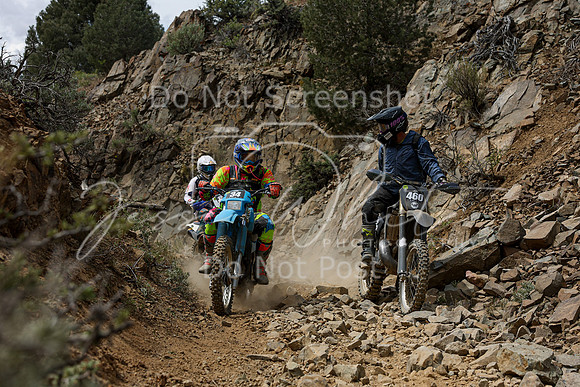 IMG_7419-460-34